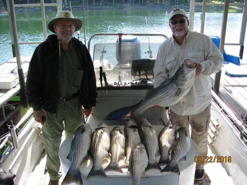 Nice Striped Bass
